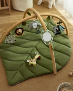 Baby Play Gym & Activity Mat