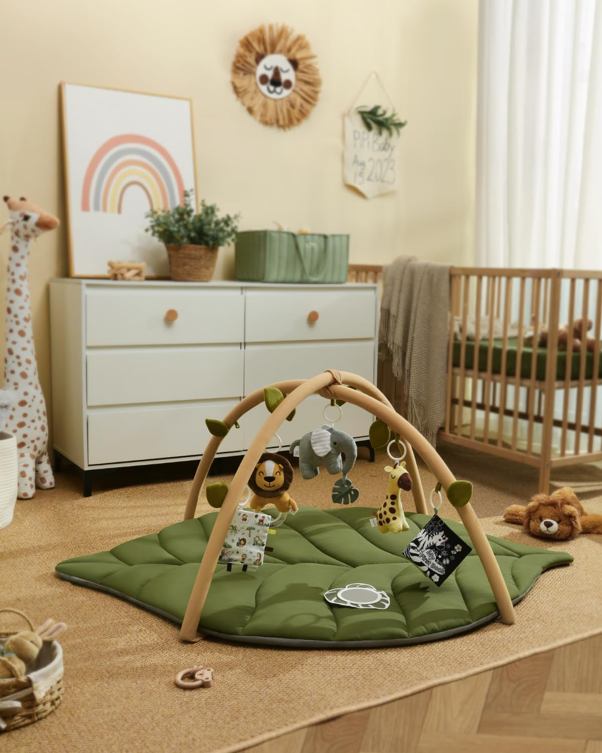 Baby Play Gym & Activity Mat